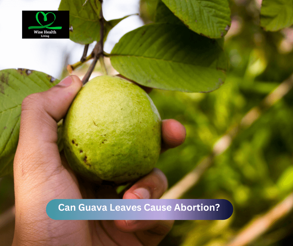 Can Guava Leaves Cause Abortion