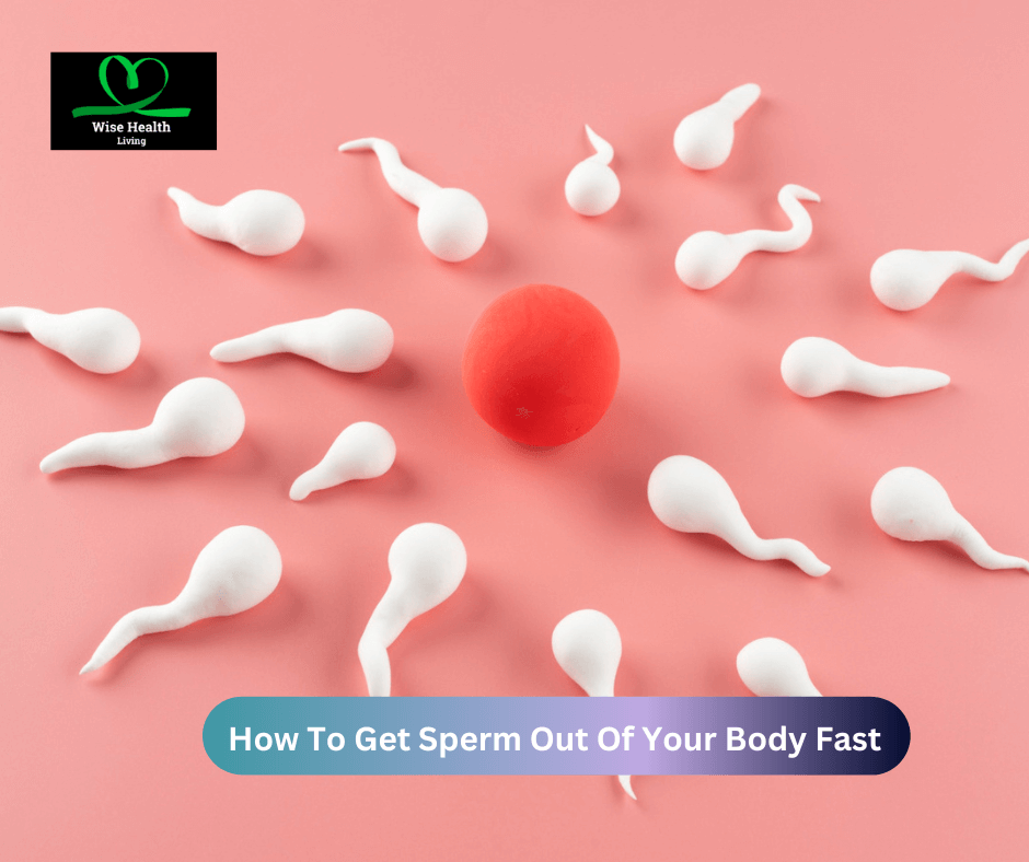 How To Get Sperm Out Of Your Body Fast 