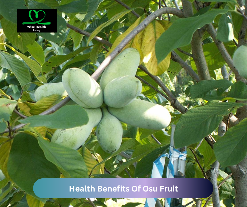 Health Benefits Of Osu Fruit